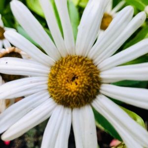 Meet your Posher, Michaela